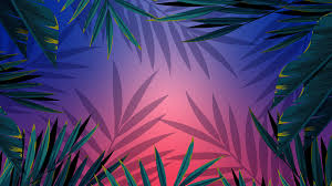 We have 78+ amazing background pictures carefully picked by our community. Aesthetic Pc Wallpaper 4k Palm Leaves