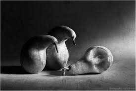 Black And White Still Life Photography 100 Examples Of Still Life Photography Still Life Photography Still Life Photographers Still Life Pictures