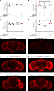Order flowers online from your florist in littleton, co.cindy's floral, offers fresh flowers and hand delivery right to your door in littleton. Alcohol Sedation In Adult Drosophila Is Regulated By Cysteine Proteinase 1 In Cortex Glia Communications Biology