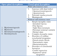 Image result for Spinal Dysraphism