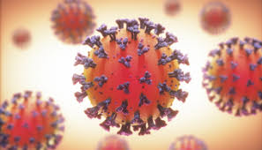 Keep geelong strong with this membership. Market Trends Paintsquare