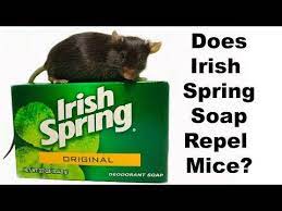 We did not find results for: Learn If Spreading Irish Spring Soap Around The House And Yard Is A Good Method To Repel Mice See Videos Of Irish Spring Soap Irish Spring Getting Rid Of Mice