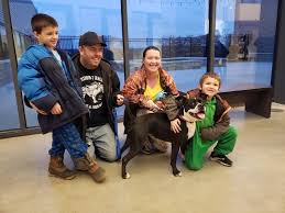 We did not find results for: Chiefs Player Helps Kc Dog Adoption By Paying Pups Adoption Fees