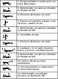Preparacion De Entrenamiento Para Posiciones Ejercicios De Educacion Fisica Ejercicios De Entrenamiento Ejercicios De Entrenamiento Con Pesas