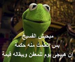 كيرمت الضفدع كيرمت الضفدع added a new photo arabic funny funny relatable memes funny qoutes