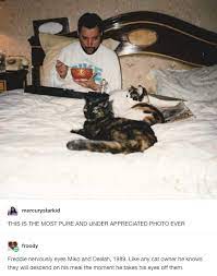 This Is Creeping Me Out Cause The Calico Kitty Looks Identical To My Spunky And The Other Looks Like Her Mom Queen Meme Freddie Mercury Queen Freddie Mercury