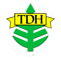 Landscape design, installation of plants and trees, maintenance, landscape lighting, patios, walkways, decks,driveways, retaining walls, ponds, fountains swimming pools and waterfalls. Tdh Landscaping