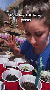 I move the strong ones into the sun