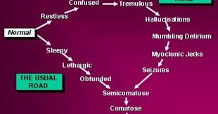 Medscape Log In Practical Advice Death Advice