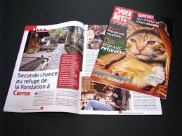 La Voix Des Betes La Fondation Assistance Aux Animaux Magazine D Information Mensuel 36 P Creation Graphique Et Editor Son Chat Creation Graphique Chat