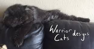 I've been having a tough day today, but coming home, booting up tumblr, and seeing. Warrior Cats Designs
