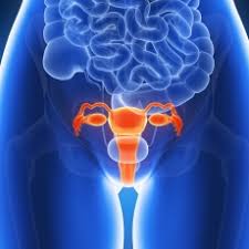 Dolor de espalda, dolor en los huesos o fracturas, fuga de orina o heces por la vagina, dolor pélvico, dolor en las piernas, fatiga, pérdida de peso, falta de apetito y piernas hinchadas. Cancer De Utero Medlineplus En Espanol