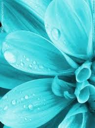 Tiffany blue is a unique shade that is becoming increasingly popular. Pin By Carol Cleveland On à¸„Õ¦yà¸„ Blue Flowers Blue Aesthetic Aqua Turquoise