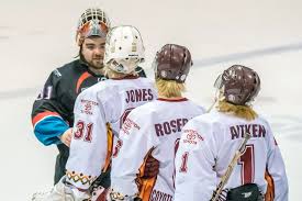 Hockey gods cruel to Coyotes as season abruptly ends