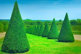 Birdies Raised Garden Beds Usa Garden Topiary Forms And Topiary Art Topiary Garden Landscape Design Garden