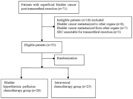 Bladder Intracavitary Hyperthermic Perfusion Chemotherapy