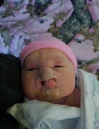 Obituary information for Nevaeh Evelyn Wehmeyer