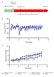 A team from columbia university developed a nasal spray that blocked the coronavirus from infecting cells in the nose and lungs in ferrets for a full day. Australian Scientists Develop A Nasal Spray That Could Stop Sars Cov 2 Infection