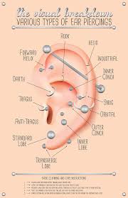 Comprehensive Ear Piercing Chart Poster Ear Piercings Chart Piercing Chart Cool Ear Piercings