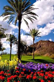 None of them look very healthy right now, so i would recommend snipping off the flower stalks from any that have them. Palm Trees And Colorful Flowers Thrive In The Deserts Of Phoenix Arizona Beautiful Places Beautiful Nature Arizona Gardening