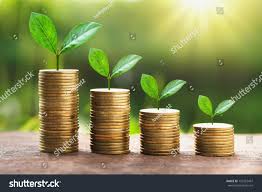 Growing Plant On Stack Money With Sunshine Business Finance Concept Stack Money Growing Plant With Images App Design Inspiration App Design Growing Plants