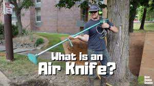 No plant can stay in a container indefinitely without some why root prune? What Is A Super Sonic Air Knife Root Cause Seattle Tree Protection Services