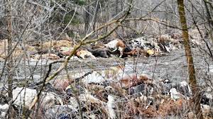 Professional dead animal removal service. Dozens Of Dead Animals Found On Hartford Farm Local Poststar Com