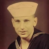 Peter J. Schuch Jr Obituary