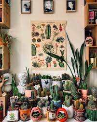 How To Care For Indoor Succulents Succulents Network Plant Decor Indoor Plant Decor Plants