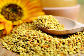 Bee Pollen And Fertility Everything You Need To Know