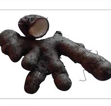 Image result for Dioscorea alata