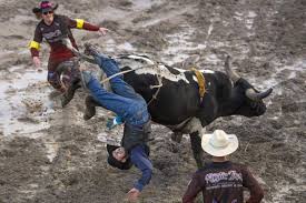 We feature local insight and specials to help you get the most out of your jackson hole vacation. Photo Gallery Jackson Hole Rodeo Opening Night Galleries Jhnewsandguide Com
