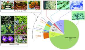 Pie Chart Showing The Taxonomic Diversity Of Plants With