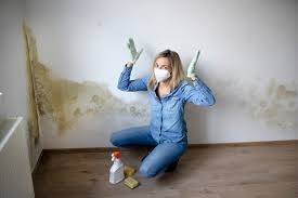 The Role of Leak Detection in Preventing Mold and Mildew Growth - Leak  Doctor