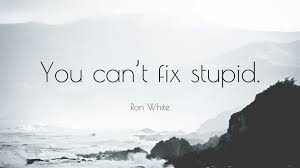 3 my sister's expecting a baby, and i. Ron White Quote You Can T Fix Stupid