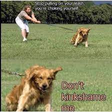 Pin On Copypasteads Com Memes