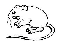 No doubt you should consider your kid`s interests and hobbies. Mouse Coloring Pages And Printable Activities Mice