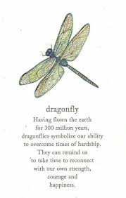 A Dragonfly Is A Sign That Angels Are Surrounding You Bringing You Love Dragonfly Quotes Dragonfly Tattoo Inspirational Quotes