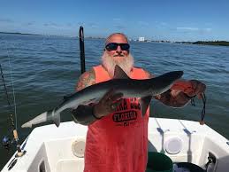 With your guide captain kevin (a fishing veteran who has been hired by fellow fishermen numerous times as a private fishing consultant) your st. One Of The Sharks Caught Picture Of Spanish Sardine Fishing Charter St Petersburg Tripadvisor