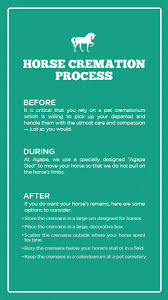 In the most common type of cremation, a body is incinerated at very high temperatures. Guide To Pet Cremation How It Works What To Expect Agape