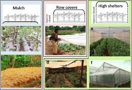 The organic way of controlling pest basically means the products and services that you are using to fight pests in your garden doesn't include any harsh chemicals and are naturally occurring pesticides. Protected Cultivation Of Vegetable Crops In Sub Saharan Africa Limits And Prospects For Smallholders A Review Springerlink