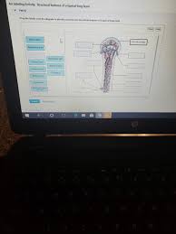 Drag the appropriate labels to their respective targets. Drag The Labels To Identify The Structures Of A Long Bone The Skeletal System Youtube Gratis Online Quiz Identify The Structures Of A Bone