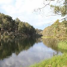 Stream Cara Hemphill