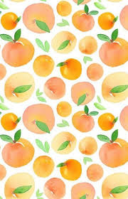 Pin On Fruit Salad