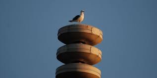 Maybe you would like to learn more about one of these? Vijf Dingen Die Je Nog Niet Wist Over Het Luchtalarm