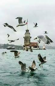 Istanbul Foto Yasar Koc Istanbul Seyahat Tutkusu Manzara