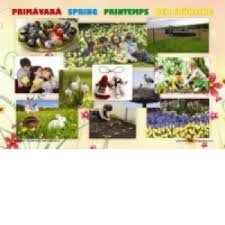 Minunate pentru a fi afișate în sala de clasă. Set 4 Planse Anotimpurile