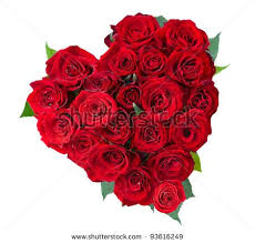 195826 1327570328 10 Jpg 450 430 Pixels Rose Flower Photos Beautiful Rose Flowers Pink Lily Flower