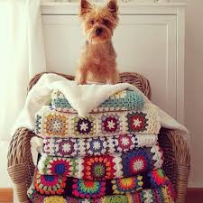 Peri S Made Adli Kullanicinin Dog Life Panosundaki Pin