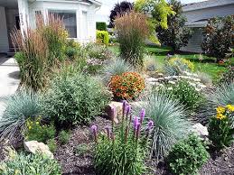 Xeriscape Small Front Yard The Xeriscape Garden Early Summer 2010 Wayne S Vibrant Lush Xe Xeriscape Landscaping Xeriscape Front Yard Front Yard Garden Design
